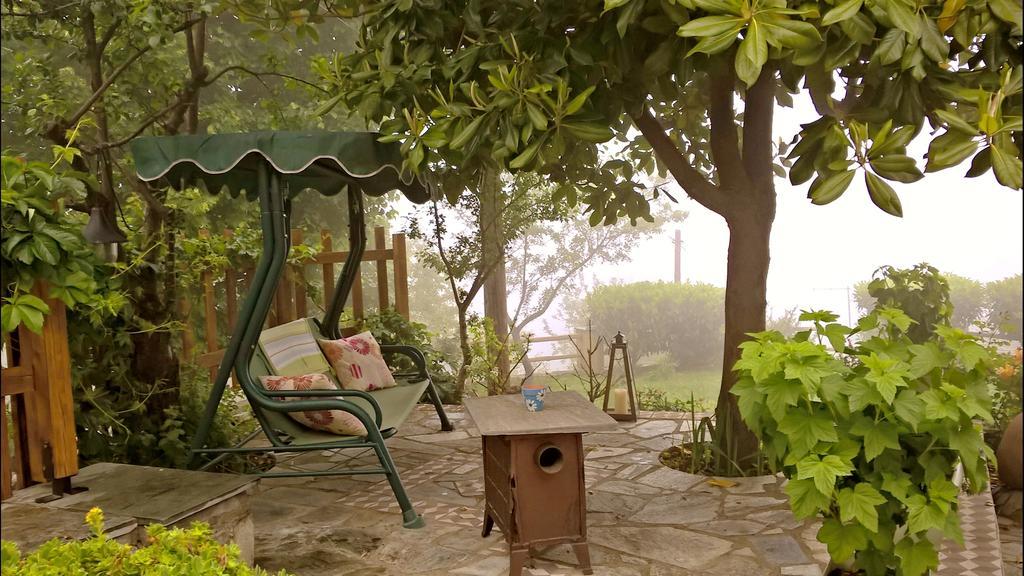 Ellis Full Guest House تساغارادا المظهر الخارجي الصورة